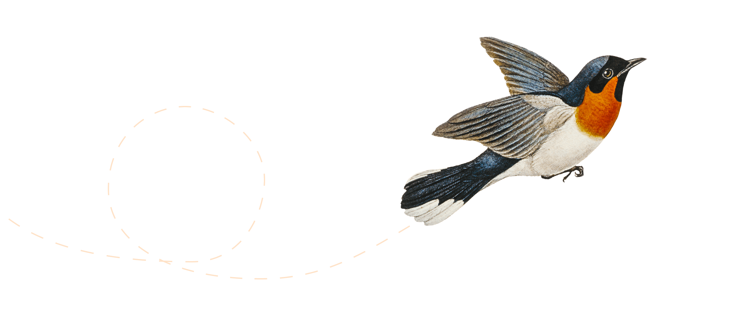 Ilustracja przedstawiająca ptaka w locie.